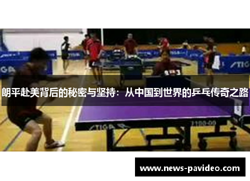 朗平赴美背后的秘密与坚持：从中国到世界的乒乓传奇之路
